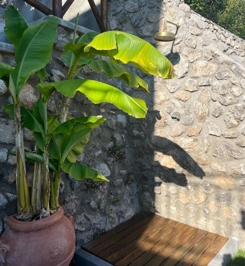 Villa De Rosa Ποζιτάνο Εξωτερικό φωτογραφία