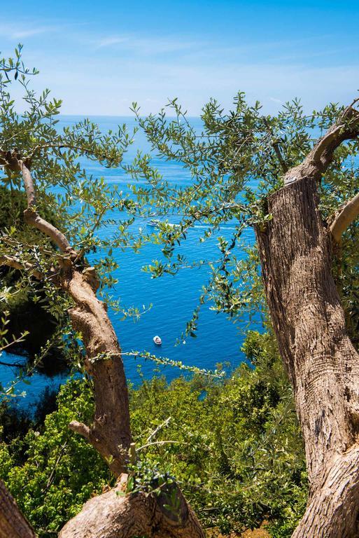 Villa De Rosa Ποζιτάνο Εξωτερικό φωτογραφία